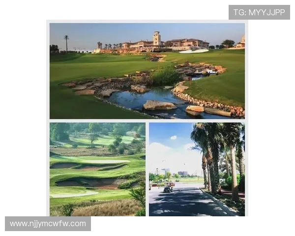 高尔夫世界纪录全景盘点揭秘球场奇迹与传奇时刻