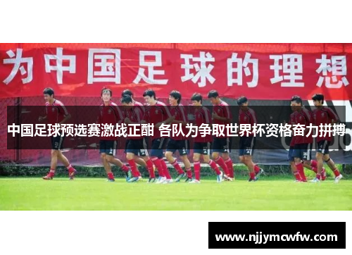 中国足球预选赛激战正酣 各队为争取世界杯资格奋力拼搏